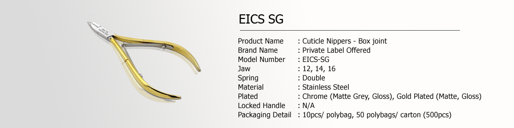 EICS-SG